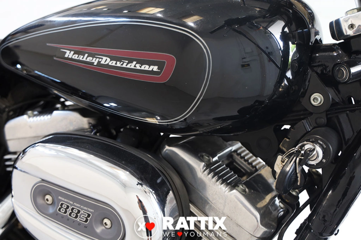 HARLEY DAVIDSON 883 Sportster XL 53 C Custom